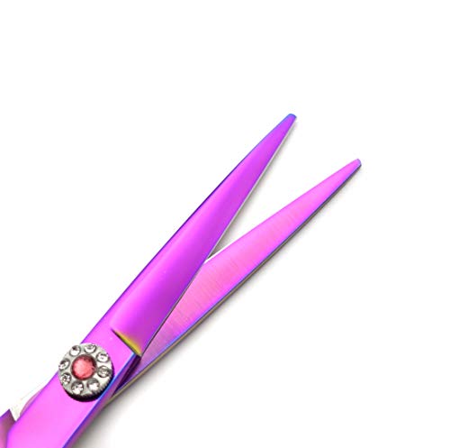 Professional Hair Cutting Scissors Set with Razor Comb Case.Hair cutting shears Hair Thinning shears with rose handle (6.0 inches)