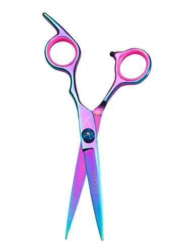 FARRAY 6.5 Professional Hair Cutting Scissors - Japanese Stainless Steel Barber Shears for Salon. Home. All Ages - Ergonomic Handle & Sharp Blades (Aurora color)