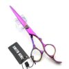 Professional Hair Cutting Scissors Set with Razor Comb Case.Hair cutting shears Hair Thinning shears with rose handle (6.0 inches)