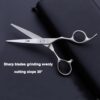 Hair Cutting Scissors and Thinning Scissors Kit.6.5 inch Professional Salon Haircut Scissors Kit.Barber Hairdressing Shears Set.Hair Cutting Shears Texturizing Shears (Silver) (Silver)