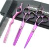 Professional Hair Cutting Scissors Set with Razor Comb Case.Hair cutting shears Hair Thinning shears with rose handle (6.0 inches)