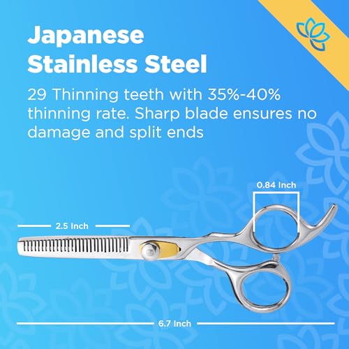 51EroBVJ9AL.jpg Equinox Professional Hair Scissors Set - Premium Barber Kit. Includes Hair Cutting Scissors. Thinning Shears. Straight Razor. Basic Comb. Cleaning Cloth. Oil & Sandpaper - Hair Salon & Barber Supplies